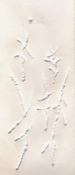 Forest. 2002. Paper relief.cm. 39X22,5.. Copyright  A. Cocchi ©2002