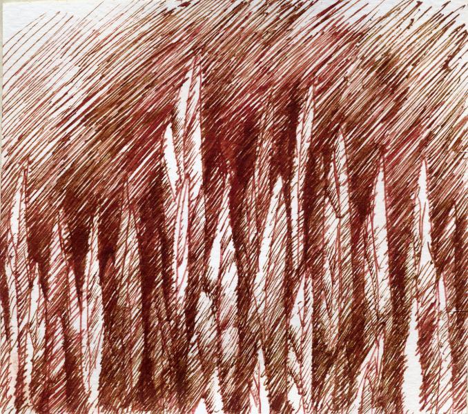Il prato urla tutte le foglie. 2001. Sepia ink. cm.29,4X33,5. Copyright  A. Cocchi ©2001.