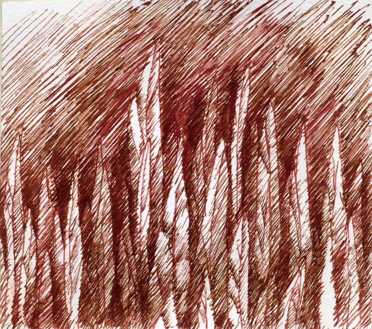 Il prato urla tutte le foglie. 2001. Inchiostro seppia su carta. cm.29,4X33,5. 