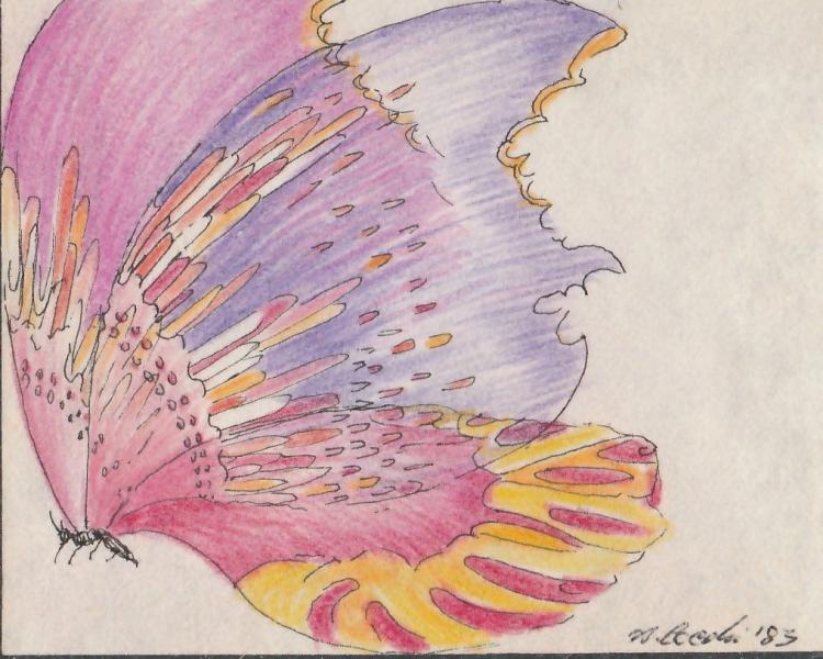 Farfalla. 1989. China  e pastelli su carta. cm. 21X22,5. Copyright © A. Cocchi 1989