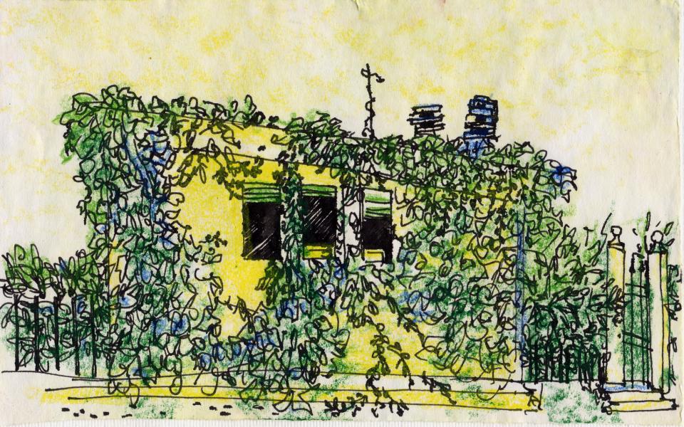 Finestre tra l'edera. 2001. China e pastelli a cera su carta. cm. 21X29,7. Copyright  A. Cocchi ©2001